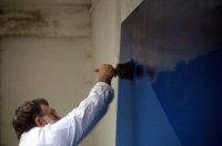 The painter's brush