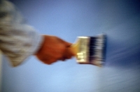 The painter's brush