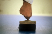 The painter's brush