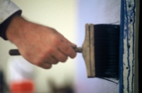 The painter's brush