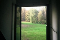 A room with a view