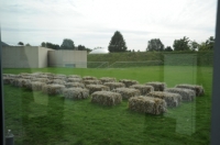 Vlaamse Landschappen Neuss 2010