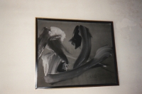 1960 / Ni l'un ni l'autre